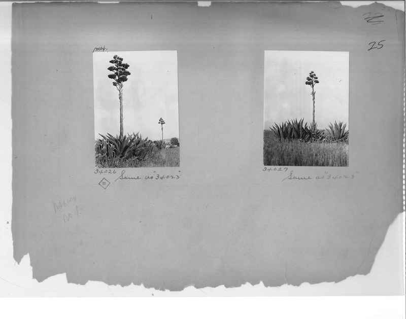 Mission Photograph Album - Mexico #01 Page_0025