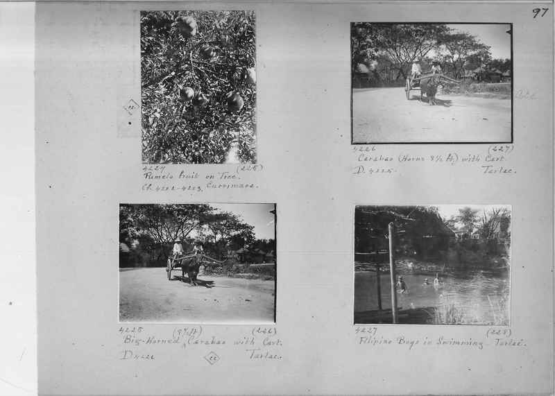Mission Photograph Album - Philippines #1 page 0097