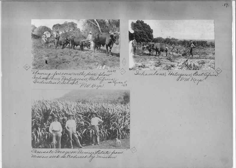 Mission Photograph Album - Africa - Madeira O.P. #2 page 0017