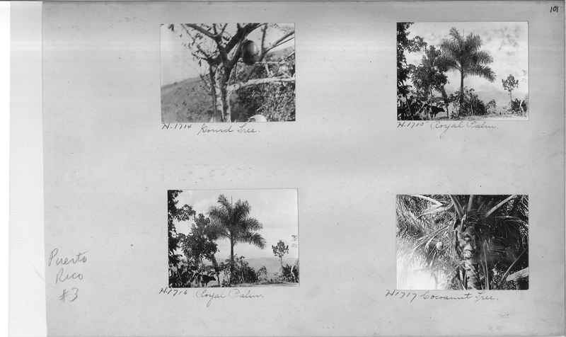 Mission Photograph Album - Puerto Rico #3 page 0101