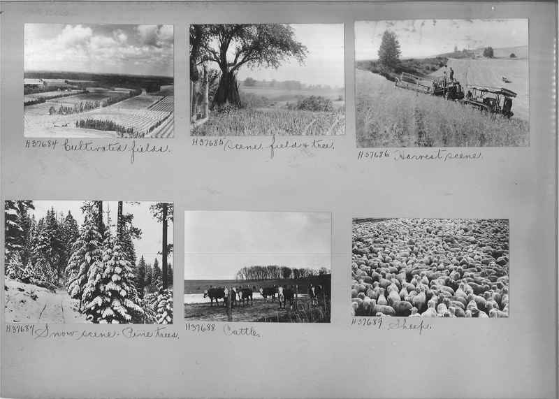 Mission Photograph Album - Rural #07 Page_0012