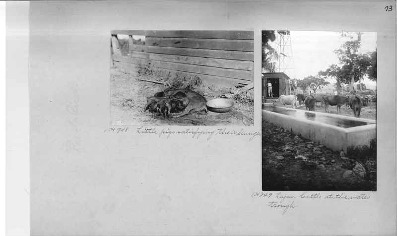 Mission Photograph Album - Puerto Rico #2 page 0073