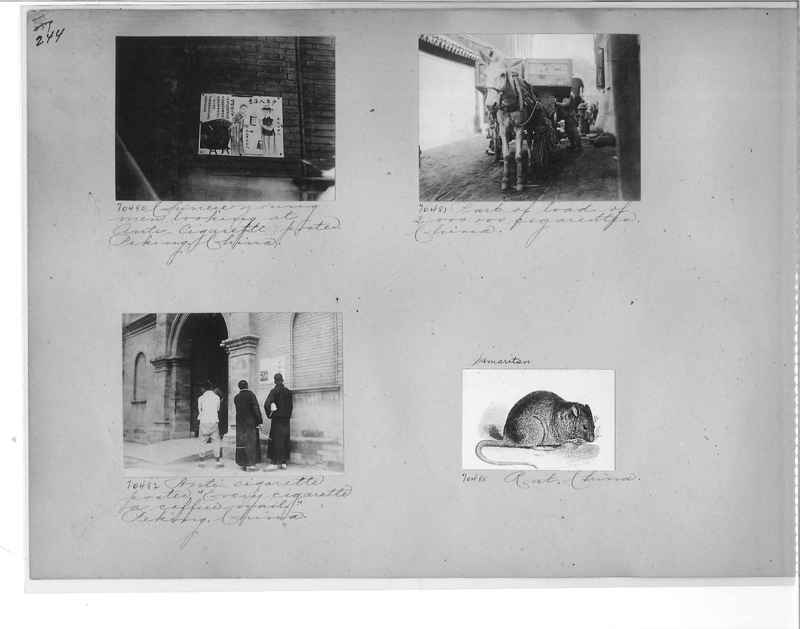Mission Photograph Album - China #9 page 0244
