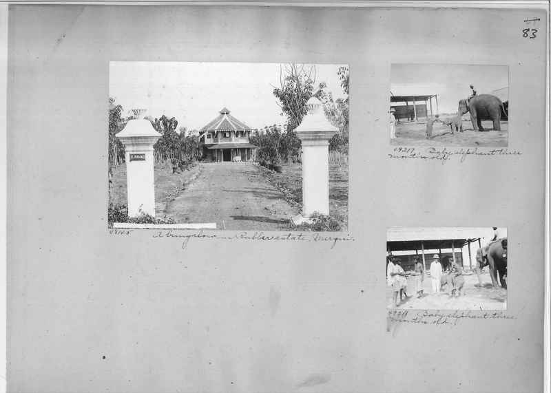 Mission Photograph Album - Burma #1 page 0083