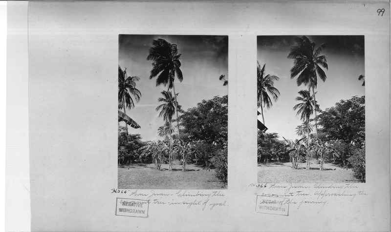 Mission Photograph Album - Puerto Rico #1 page 0099