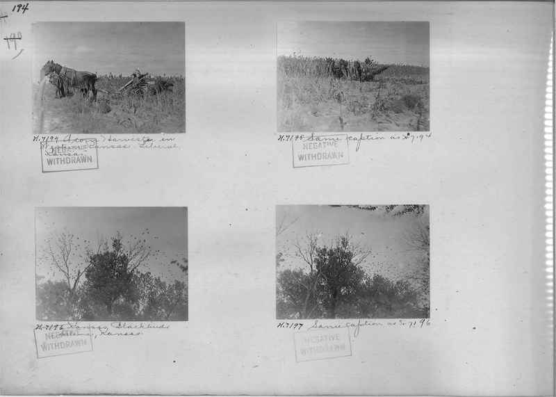 Mission Photograph Album - Rural #02 Page_0194