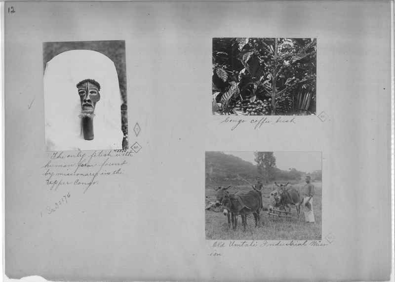 Mission Photograph Album - Africa - Madeira O.P. #2 page 0012