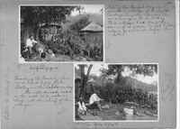 Mission Photograph Album - Africa - Madeira O.P. #1 page 0123